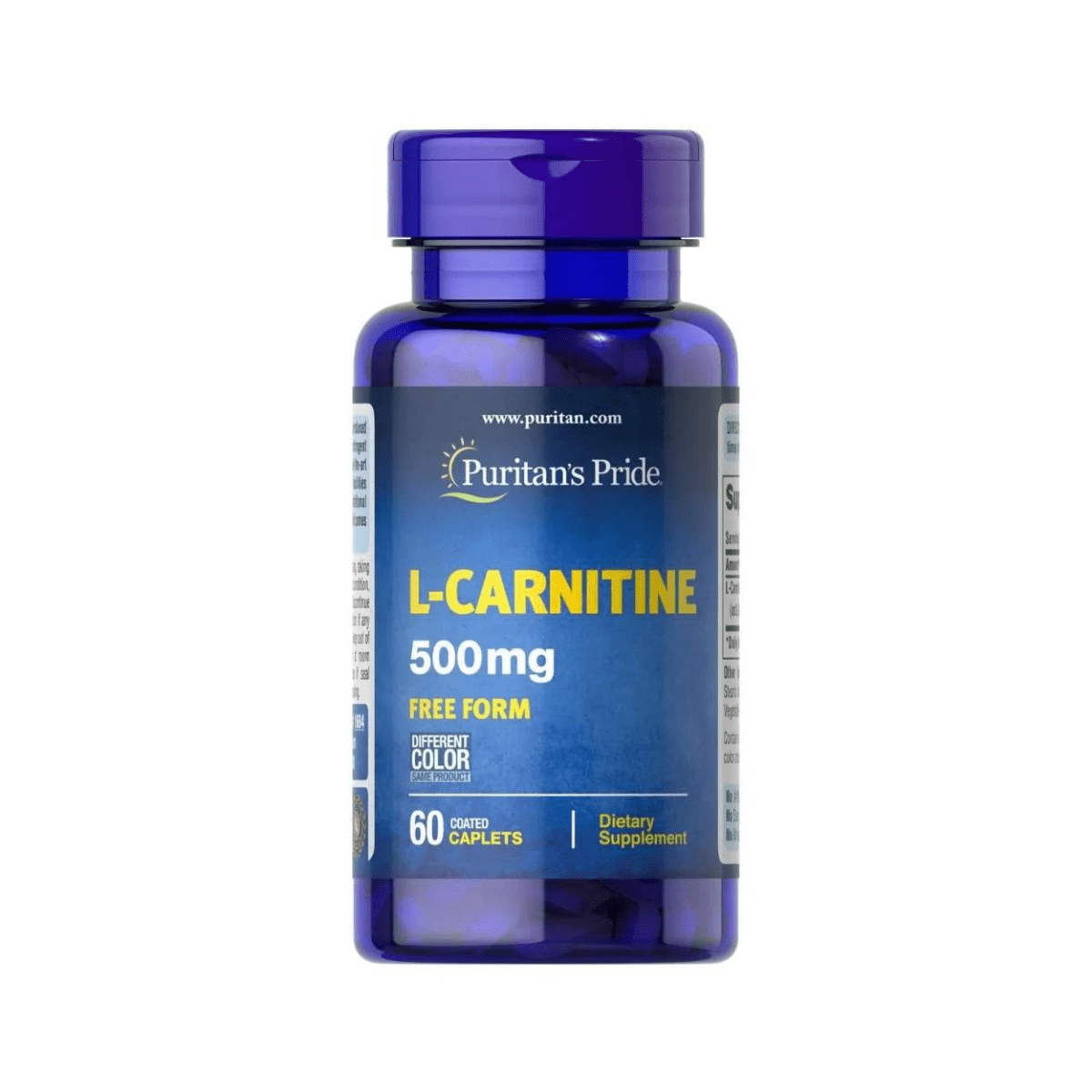 L - Carnitina 500 mg 60 Cap - Süpp